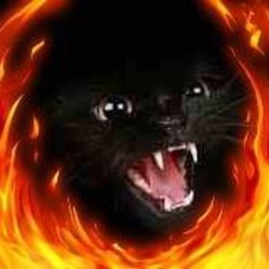 Meet your Posher, Miranda